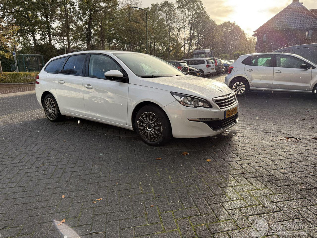 48638842-29.jpg