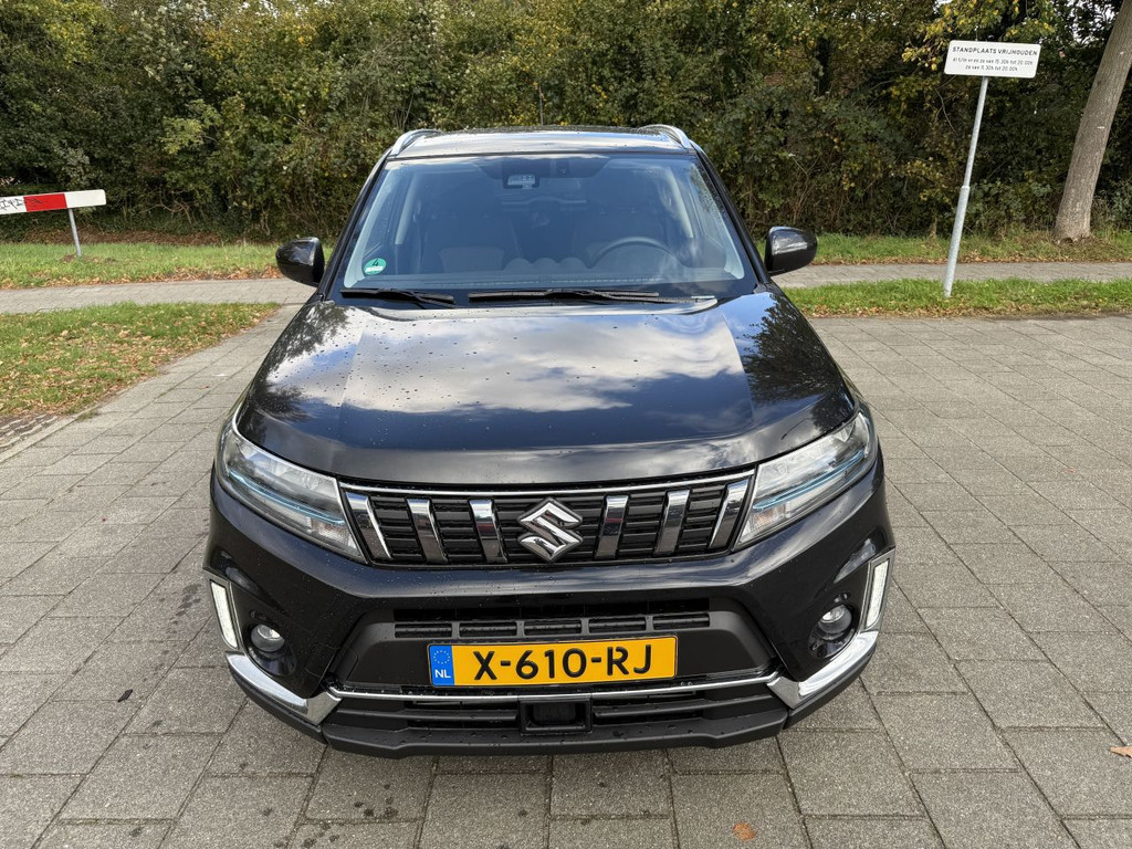 48649965-7.jpg