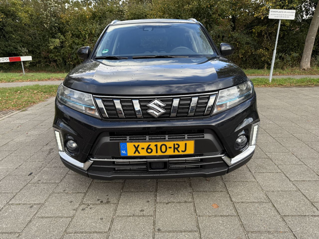 48649965-8.jpg
